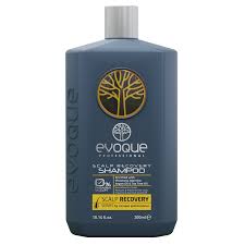 EVOQUE PROFESSIONAL ŠAMPŪNS GALVAS ĀDAS KOPŠANAI 300 ML