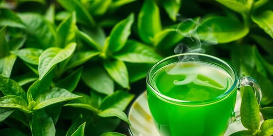 Zaļā tēja un svaigi zaļumi veselībai.